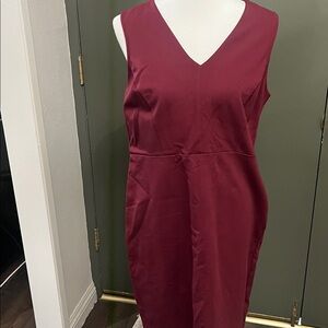NWT Loft knit dress